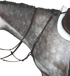 Produktbild von Jäger-Plastron Weatherbeeta Collegiate IV