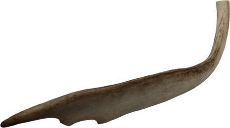 Produktbild von Jama Rentier Geweihstück halb - L (90-120g)