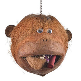 Produktbild von Java Coco Monkey Kokosnuss Affenkopf zum Knabbern für Großsittiche und Papageien