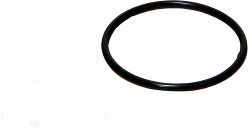 JBL O-Ring für Rotorabdeckung CP e700/e900 - 1 Stk. – Bild 1 von 2