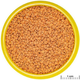 Produktbild von JBL PRONOVO BETTA GRANO S Fischfutter-Granulat - 100 ml