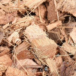 Produktbild von JBL TerraCoco Bodengrund für Terrarien - 5 l