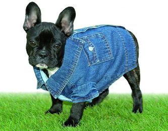 Produktbild von Jeans-Overall Gr. 46