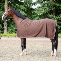 Produktbild von Jerseydecke Proline