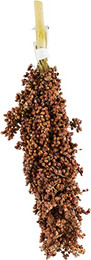 Produktbild von JR Birds Dari-Kolben - 10 x 100 g