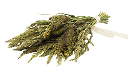 Produktbild von JR FARM Birds Hirsen-Potpourri - 50 g