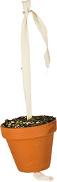 Produktbild von JR FARM Birds Tontöpfchen Großsittich & Papagei - 260 g
