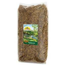 Produktbild von JR Farm Garden Hermetia/Soldatenfliegen-Larven 1 kg - 4 Stück