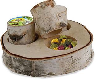 Produktbild von JR FARM Train the Brain Forest - 40 g