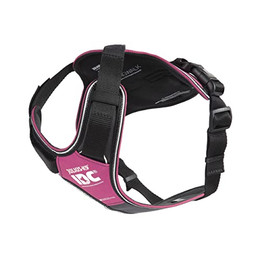 Produktbild von Julius-K9 Gepolstertes Hundegeschirr IDC Longwalk pink/grau Größe L