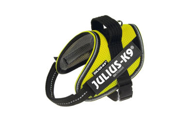 Produktbild von Julius-K9 Hunde-Geschirr IDC Powair Neon XS 40-53 cm