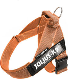 Julius-K9 IDC® Color & Grey Gurtgeschirr, orange/grau - Größe M/0: Brustumfang 58 - 76 cm – Bild 1 von 3
