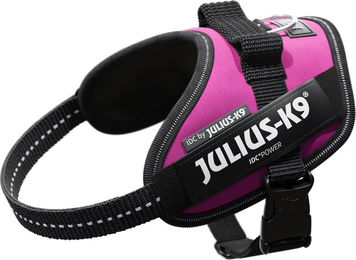 Produktbild von Julius-K9 IDC Powergeschirr dunkelpink Größe XS
