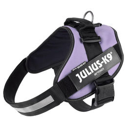 Produktbild von Julius-K9 IDC Powergeschirr lila Größe 3 XL