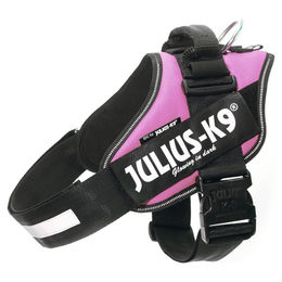 Julius K9 IDC-Powergeschirr mit Logofeld, Gr. 3, pink – Bild 1 von 8