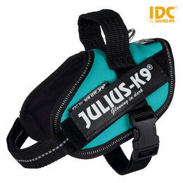 Produktbild von Julius-K9 IDC Powergeschirr petrol Mini / S