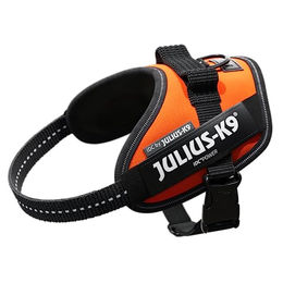 Julius-K9 IDC Powergeschirr UV neon-orange XS/Mini-Mini – Bild 1 von 8