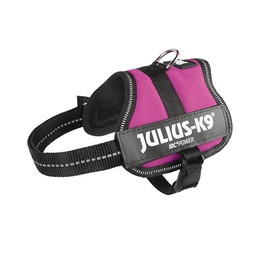 Produktbild von Julius-K9 Powergeschirr fuchsia Größe 2XS/Baby 2
