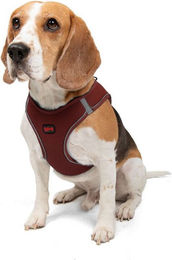 Produktbild von Jumeon Hunde-Geschirr Air Mesh - 3XS-2XS-XS-S GROßE, Strapazierfähig & langlebig, 100% POLYESTER, Komfortabel & sicher, Für kleine bis große Hunde