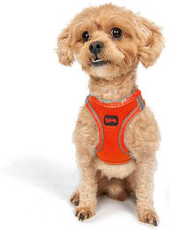 Jumeon Hunde-Geschirr Air Mesh - 3XS-2XS-XS-S GROßE, Strapazierfähig & langlebig, 100% POLYESTER, Komfortabel & sicher, Für kleine bis große Hunde – Bild 1 von 5