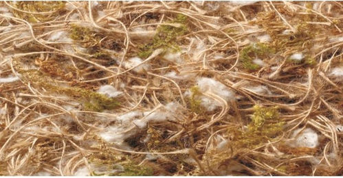 Produktbild von Jutennestzugang für Vögel Nobby Pet