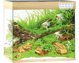 Juwel Lido 200 LED Aquarium Set helles Holz - 200 l – Bild 1 von 8