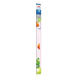 Produktbild von JUWEL MultiLux LED Colour LED-Aquarienbeleuchtung 895 mm