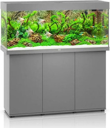 Produktbild von JUWEL Rio 240 LED Aquarium mit Unterschrank grau - 240 l