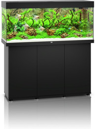 Produktbild von JUWEL Rio 240 LED Aquarium mit Unterschrank schwarz