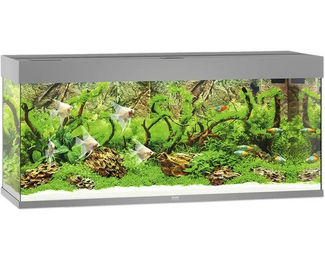JUWEL Rio 240 LED Aquarium Set grau – Bild 1 von 6