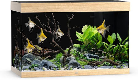 Juwel Rio 290 LED Aquarium Helles Holz - 290 l – Bild 1 von 4