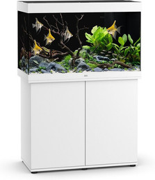 Produktbild von Juwel Rio 290 LED SBX Kombination Weiß - 290 l