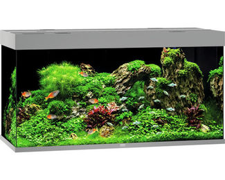 Produktbild von JUWEL Rio 350 LED grau Aquarium