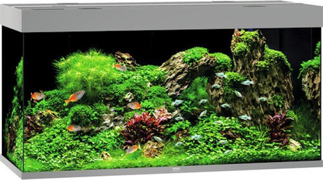 Produktbild von JUWEL Rio 350 LED grau Aquarium