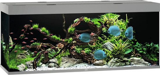 Produktbild von JUWEL Rio 450 LED grau Aquarium