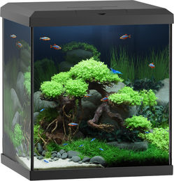 Juwel Vio Cube 54 schwarz Aquarium - 1 Stk – Bild 1 von 4