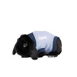 Jacketz Medical Body Suit für Kaninchen in Grau Größe 2XS – Bild 1 von 2