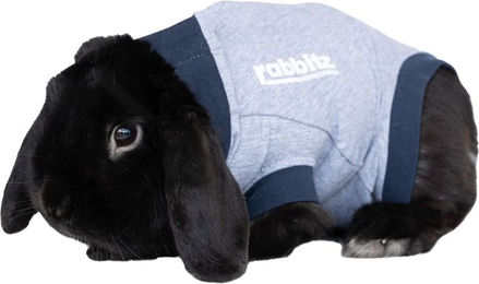 Jacketz Medical Body Suit für Kaninchen in Grau Größe 3XS – Bild 1 von 2