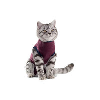 Produktbild von Jacketz Medical Body Suit für Katzen in Aqua Green XS zur Unterstützung von Haut und Fell