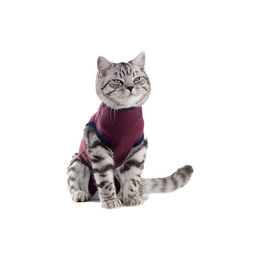 Jacketz Medical Body Suit Katze Aqua Green XXXS – Bild 1 von 2