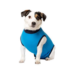 Jacketz Medical Body Suit Schutzanzug für Hunde in Aqua Green Größe M – Bild 1 von 2