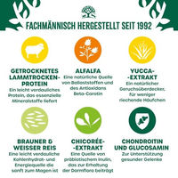 Produktbild von James Wellbeloved Hund Senior Trockenfutter Lamm und Reis Hypoallergen 2kg - 2 kg