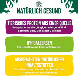 James Wellbeloved Superfoods Hundetrockenfutter Adult Truthahn mit Grünkohl und Quinoa Hypoallergen 1,5 kg - 1,5 kg – Bild 1 von 7