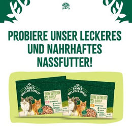 James Wellbeloved Trockenfutter Katze Adult Truthahn Getreidefrei Hypoallergen 2x4 kg - 2 x 4 kg – Bild 1 von 2