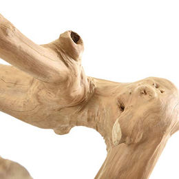 Java Kletterstange Large Sitzstange aus Kaffeeholz für Papageien in Natur Braun – Bild 1 von 2