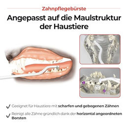 JAYU PET Zahnpflegebürste mit weichen Borsten für Hunde und Katzen zur Entfernung von Zahnstein und Belag – Bild 1 von 2