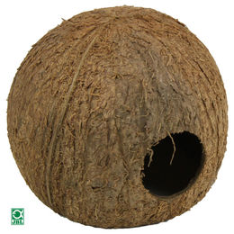 JBL Cocos Cava Kokosnuss-Schale als Ablaichhöhle für Fische und Echsen Größe L - 0,75 l – Bild 1 von 7