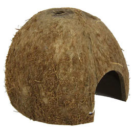 JBL Cocos Cava Kokosnuss-Schale als Höhle und Versteck für Fische 1/2 M – Bild 1 von 8