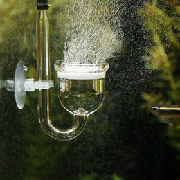 JBL ProFlora Taifun P NANO 2 CO2-Diffusor aus Glas für Aquarium Pflanzen – Bild 1 von 4