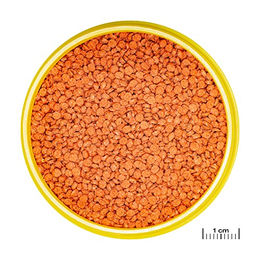 JBL ProNovo Bits Grano Fischfutter Granulat mit Garnele Lachs und Tintenfisch für Diskus und Buntbarsche 250 ml - 250 ml – Bild 1 von 3